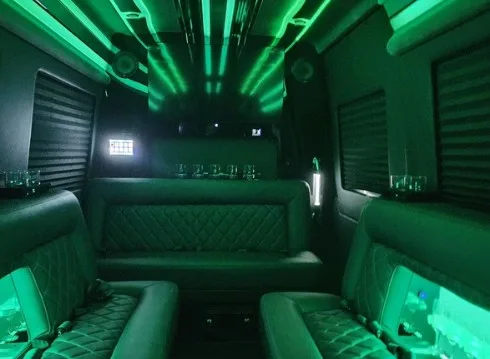 Wisconsin Black Car Service - Sprinter Party Bus